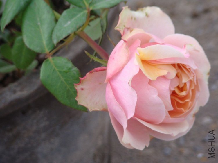 QQ��ͼ20130529085902.jpg