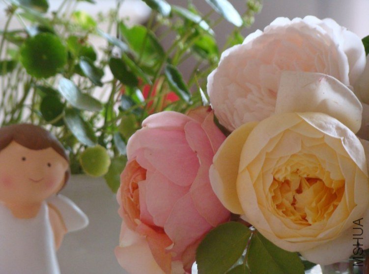 QQ��ͼ20130529090158.jpg