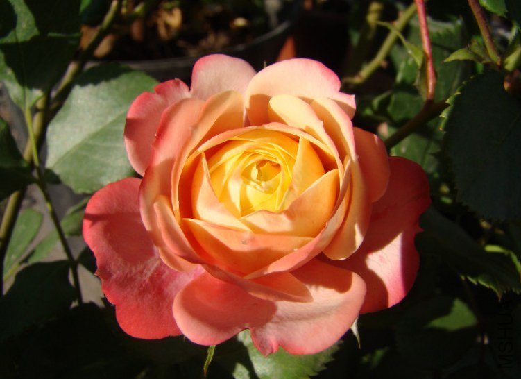 QQ��ͼ20130601090124.jpg