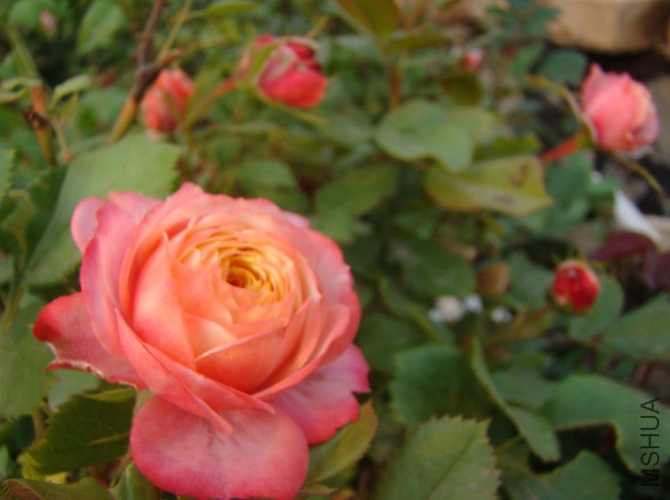 QQ��ͼ20130601090552.jpg