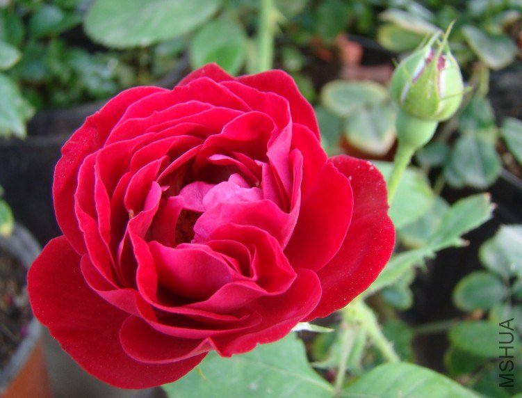 QQ��ͼ20130601090237.jpg