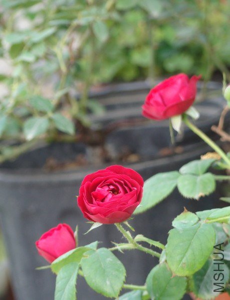 QQ��ͼ20130601090249.jpg