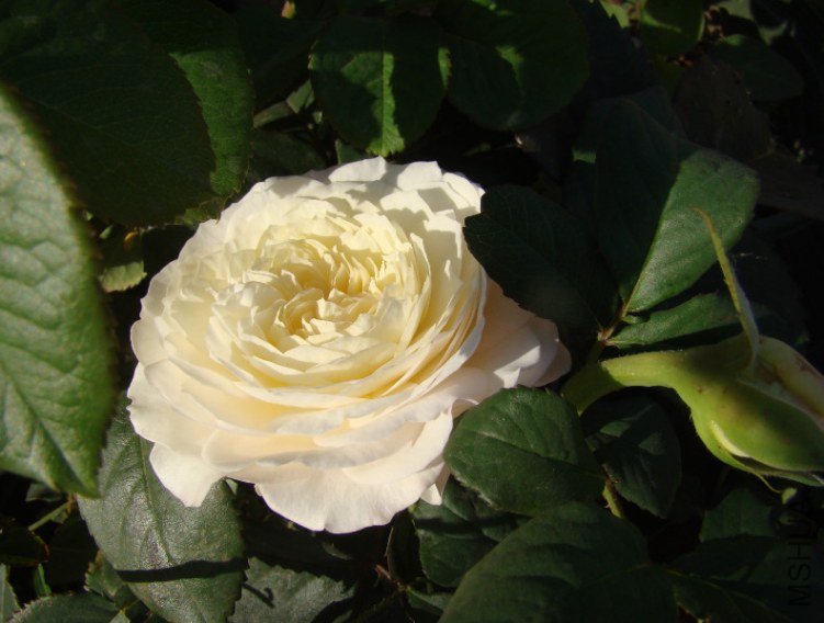 QQ��ͼ20130601090204.jpg