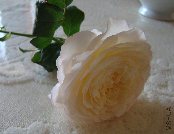 QQ��ͼ20130601090408.jpg