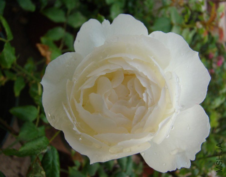 QQ��ͼ20130601090851.jpg