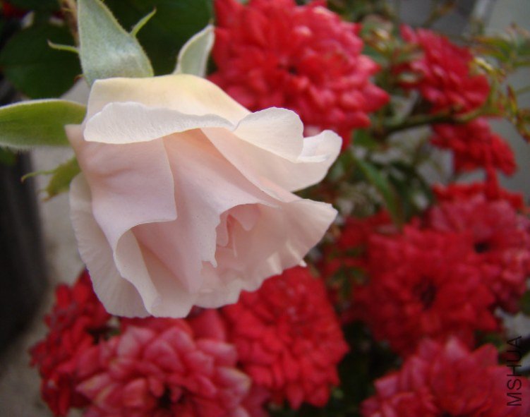 QQ��ͼ20130601090438.jpg