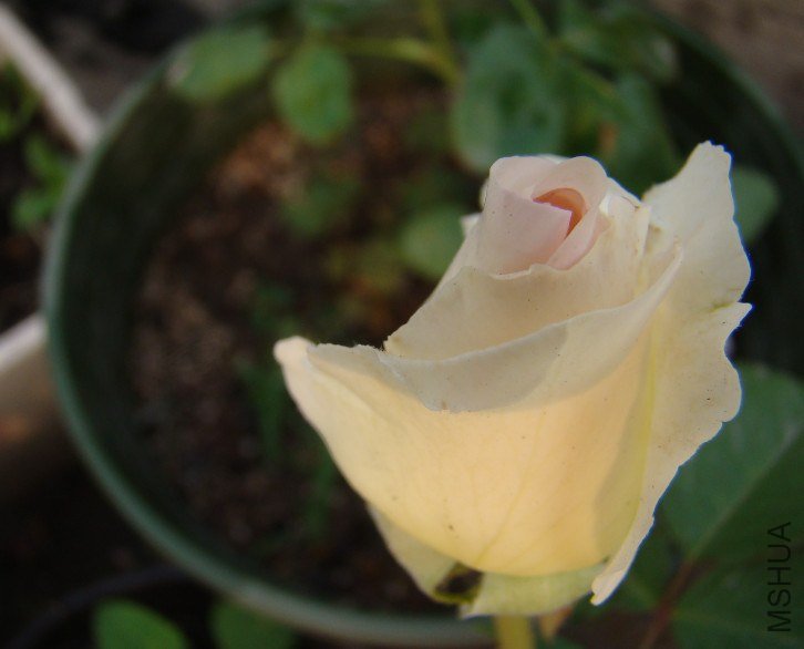 QQ��ͼ20130601090512.jpg