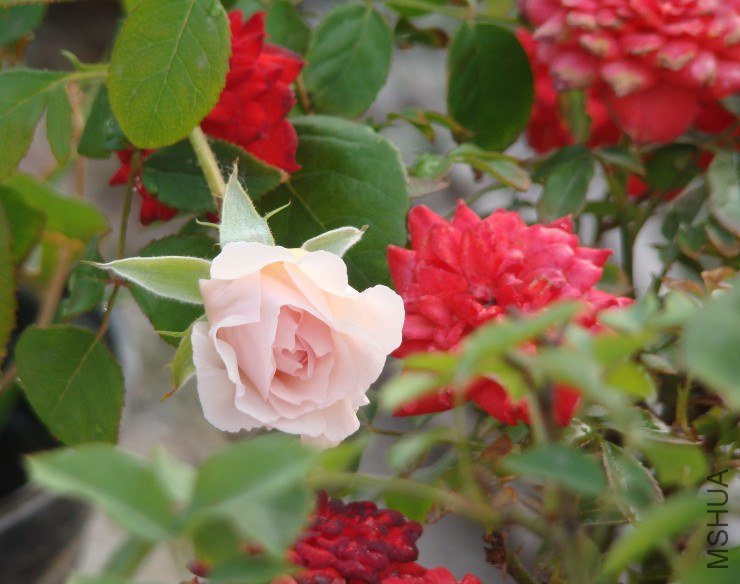 QQ��ͼ20130601091122.jpg