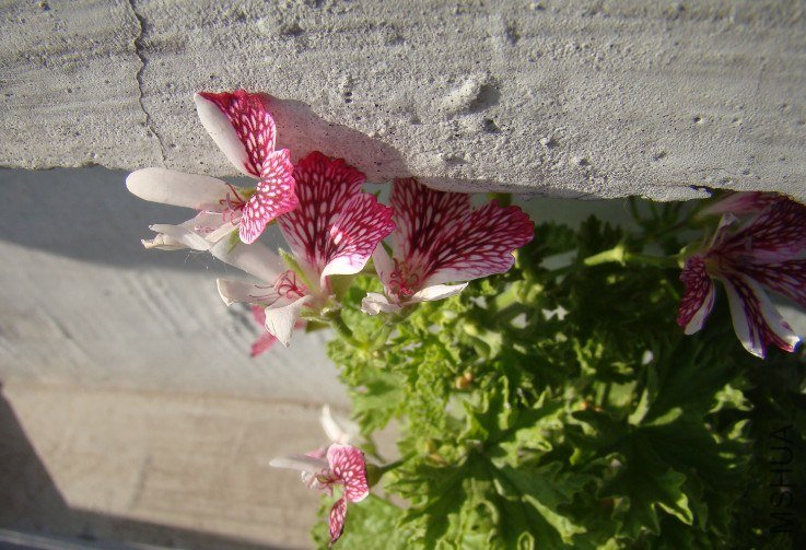 QQ��ͼ20130601090014.jpg