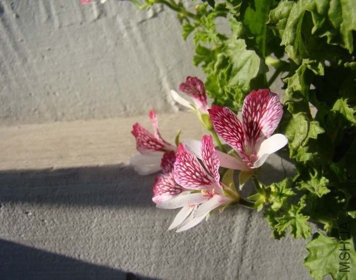 QQ��ͼ20130601090049.jpg