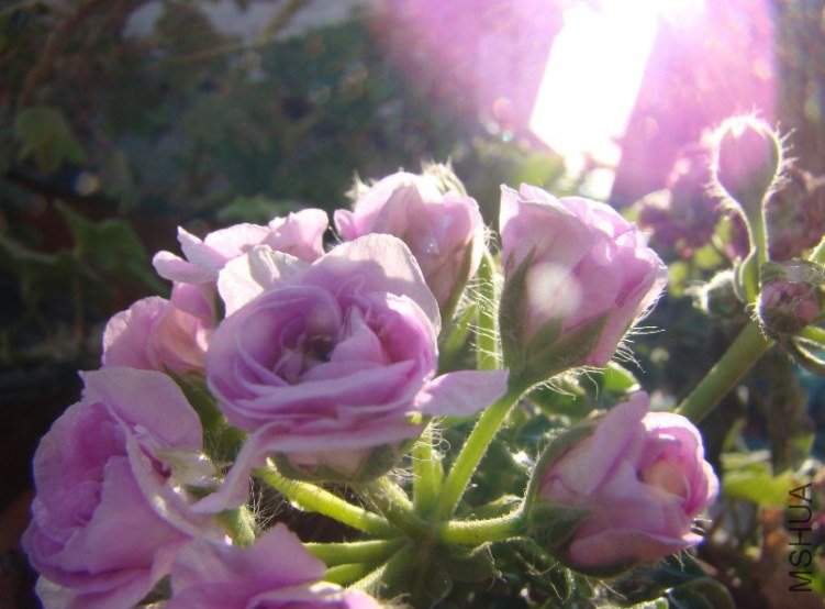 QQ��ͼ20130601090104.jpg