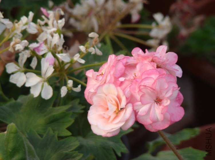 QQ��ͼ20130601090635.jpg