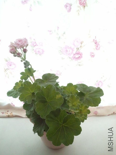 2013-06-01 12.19.32.jpg