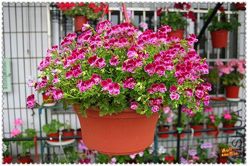 ��Ƭ 011_����.jpg