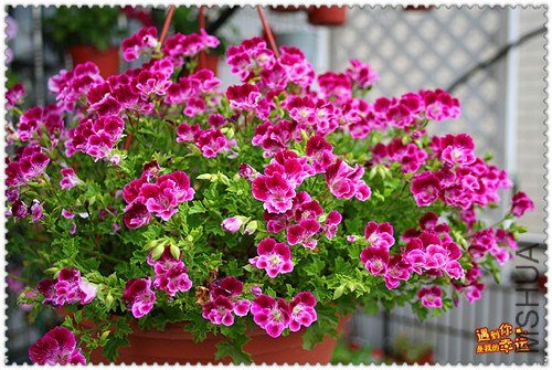 ��Ƭ 013_����.jpg