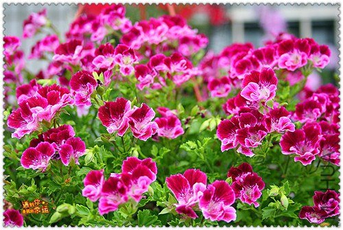 ��Ƭ 014_����.jpg