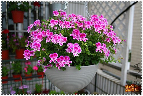 ��Ƭ 019_����.jpg