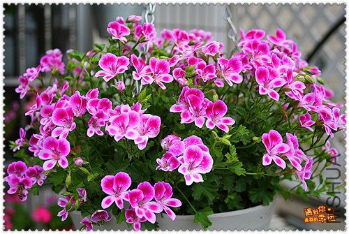 ��Ƭ 021_����.jpg