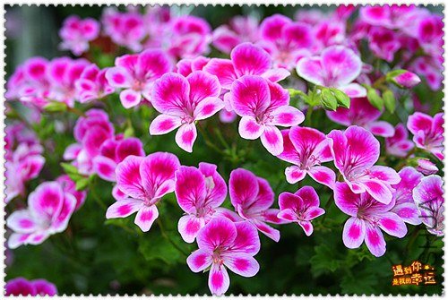 ��Ƭ 024_����.jpg