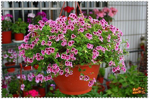 ��Ƭ 028_����.jpg