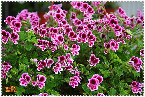 ��Ƭ 031_����.jpg