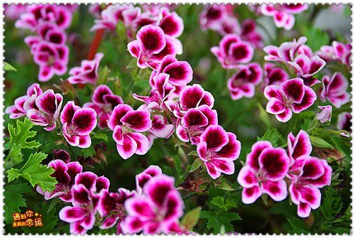 ��Ƭ 038_����.jpg