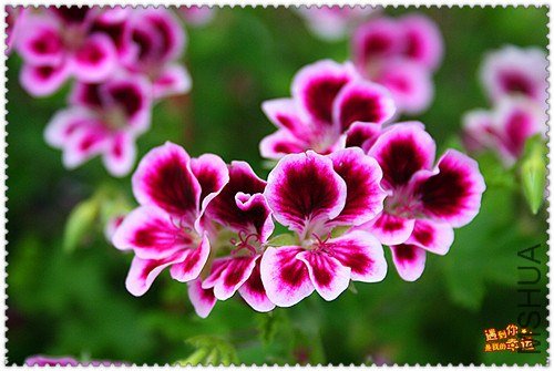 ��Ƭ 039_����.jpg