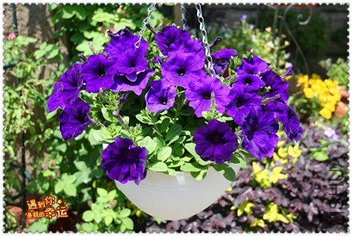 ��Ƭ 088_����.jpg