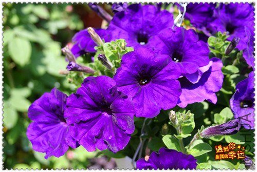 ��Ƭ 090_����.jpg