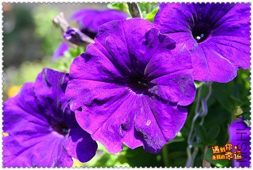 ��Ƭ 093_����.jpg