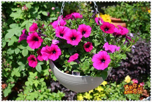 ��Ƭ 097_����.jpg