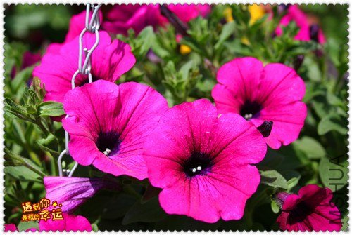 ��Ƭ 098_����.jpg