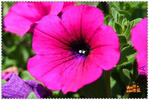 ��Ƭ 103_����.jpg