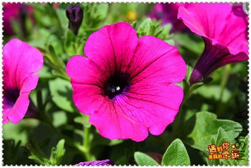 ��Ƭ 107_����.jpg