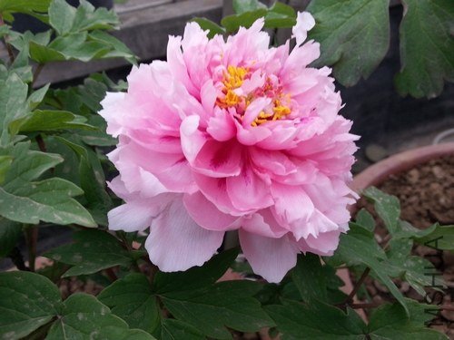 20130312_180917.jpg
