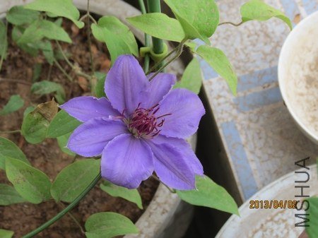 IMG_2513.jpg