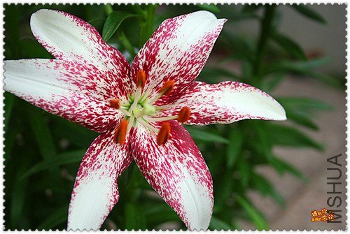 ��Ƭ 009F_����.jpg