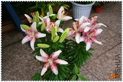 ��Ƭ 009A_����.jpg