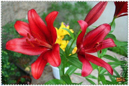 ��Ƭ 010B_����.jpg