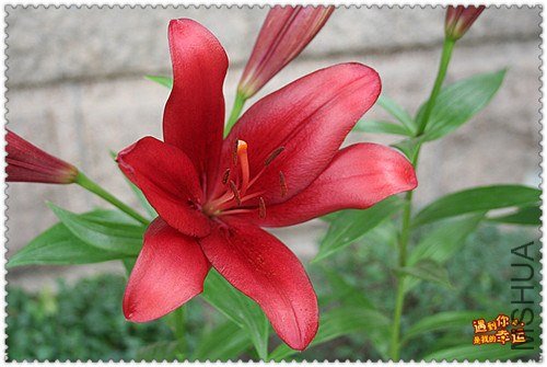 ��Ƭ 012_����.jpg