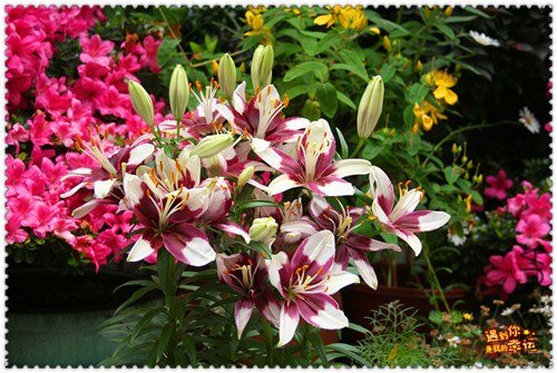 ��Ƭ 028_����.jpg