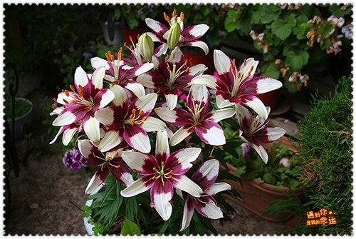 ��Ƭ 028A_����.jpg