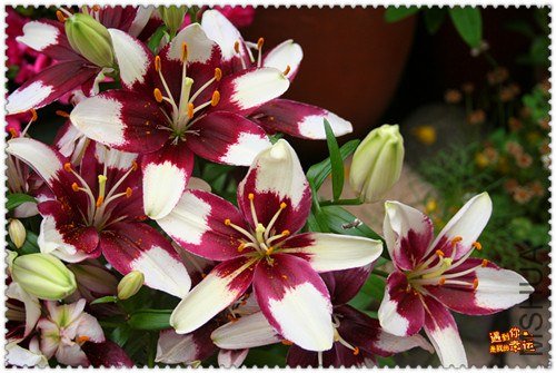 ��Ƭ 029_����.jpg