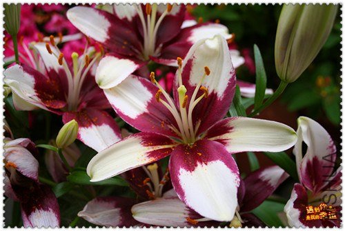 ��Ƭ 031_����.jpg