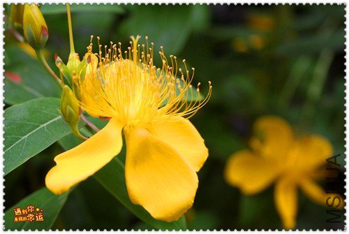 ��Ƭ 060_����.jpg