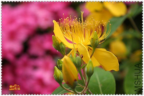 ��Ƭ 061_����.jpg