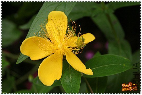 ��Ƭ 063_����.jpg