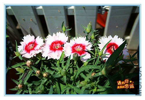 ��Ƭ 134_����.jpg