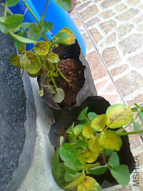 ��Ƭ0553.jpg
