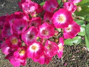 �����¼���